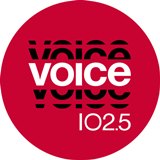 voice-web