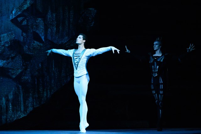 Swan Lake(c)J.Tissi_E.Geraschenko(c)NataliaVoronova