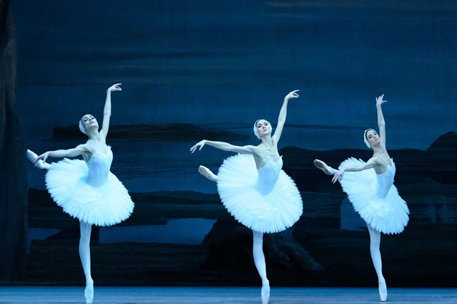 Swan Lake(c)NataliaVoronova