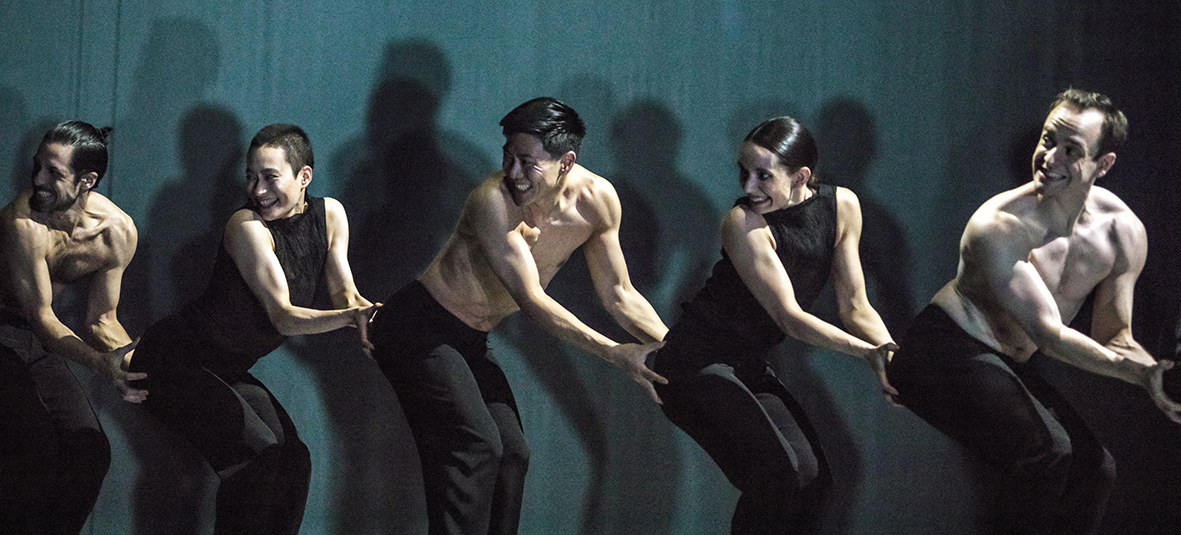 NEDERLANDS DANS THEATRE