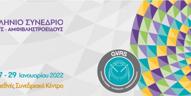 27-29 Ιανουαρίου 2022<br><strong>17<sup>Ο</sup> Πανελλήνιο Συνέδριο Υαλοειδούς-Αμφιβληστροειδούς</strong>