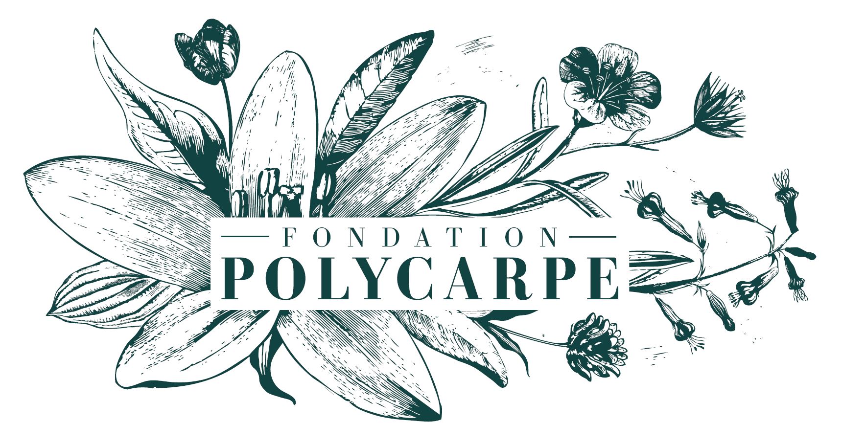 Polycarpe logo